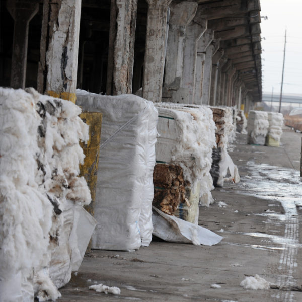 Fire Damaged Cotton Bales